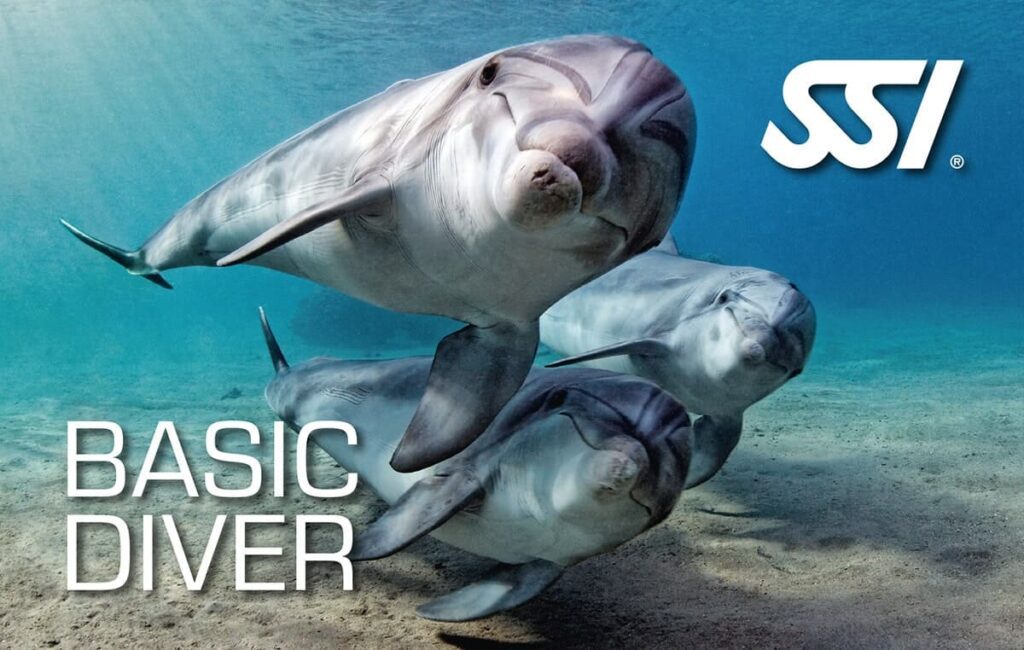 SSI Basic Diver Koh Tao — The Divers Boat
