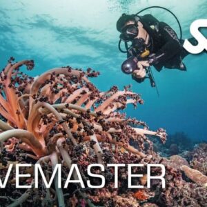 Divemaster