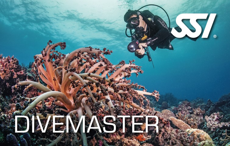 Divemaster (Dive Master)