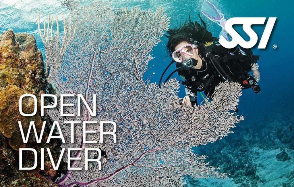 Open Water Koh Tao SSI en 2 jours — The Divers Boat