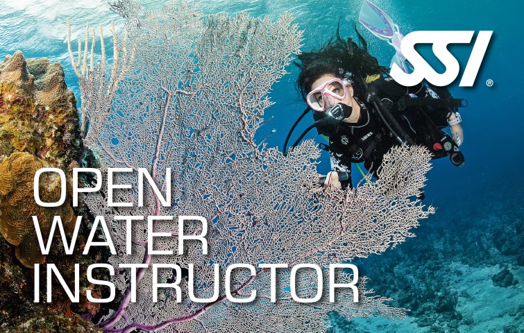 Open Water Instructeur