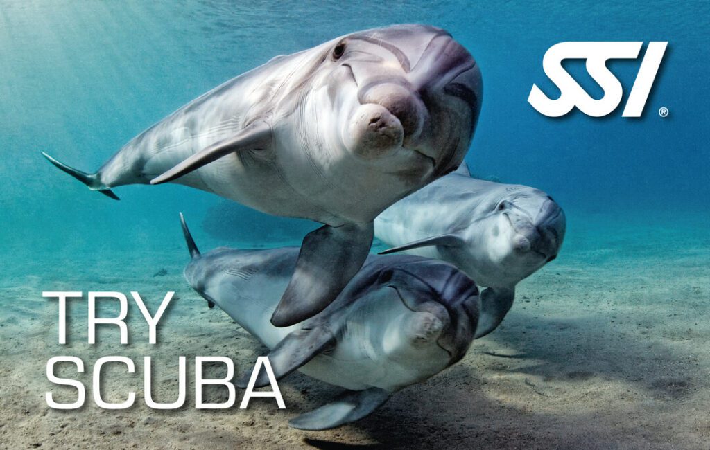 Presentation-Try Scuba