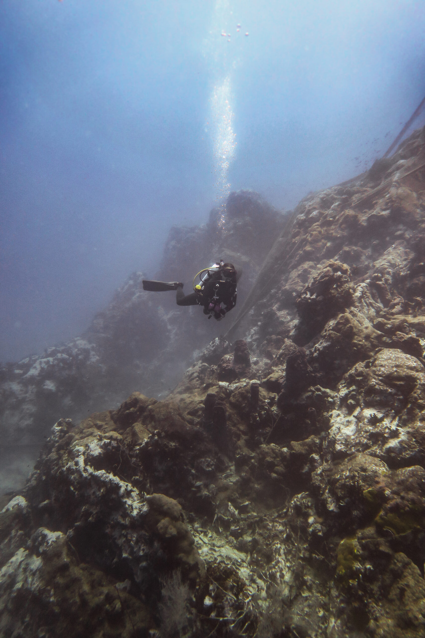 sortie 3S Koh Tao – Southwest Samran Sail Rock The Divers Boat