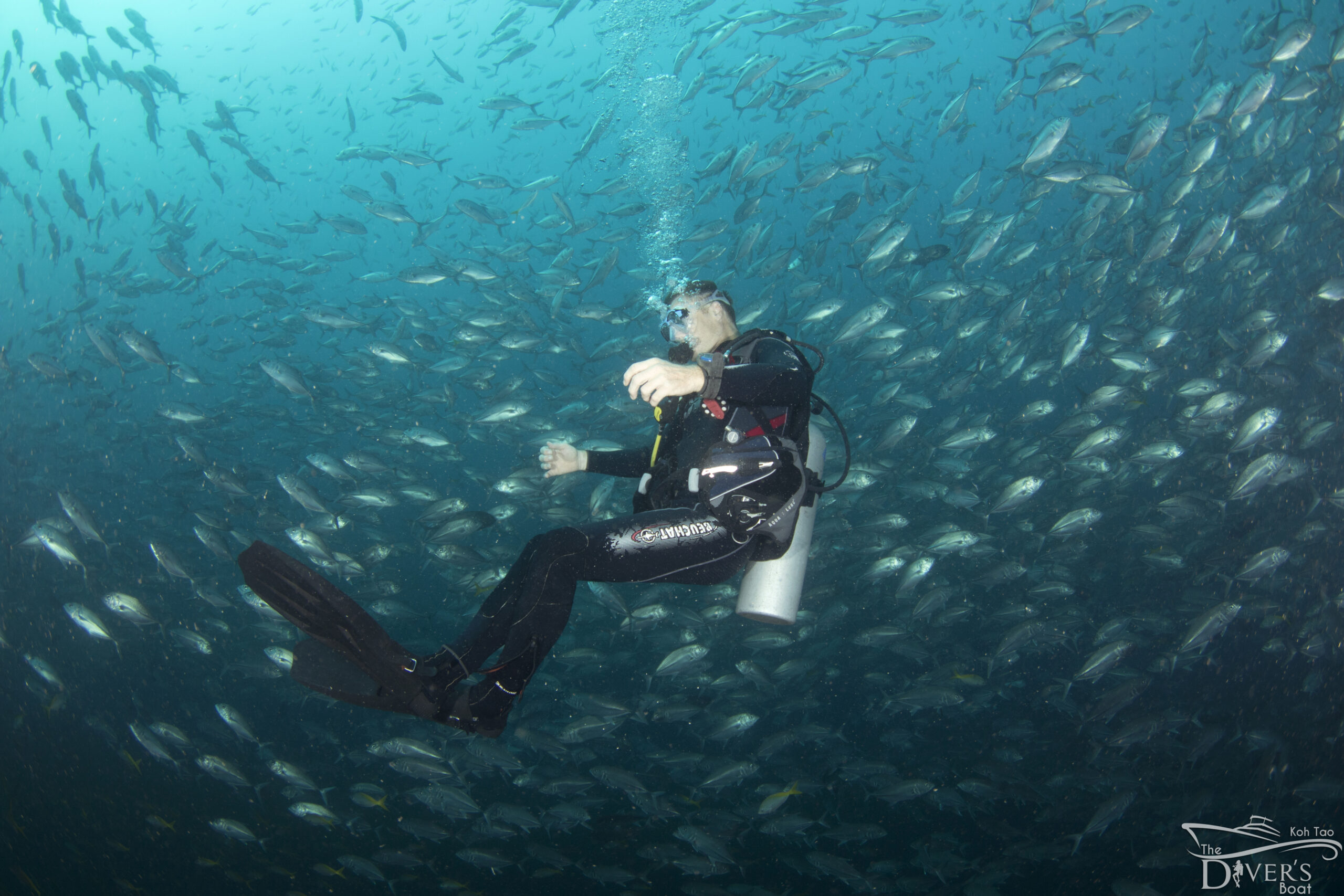 Scuba divers at Sail Rock, Gulf of Thailand